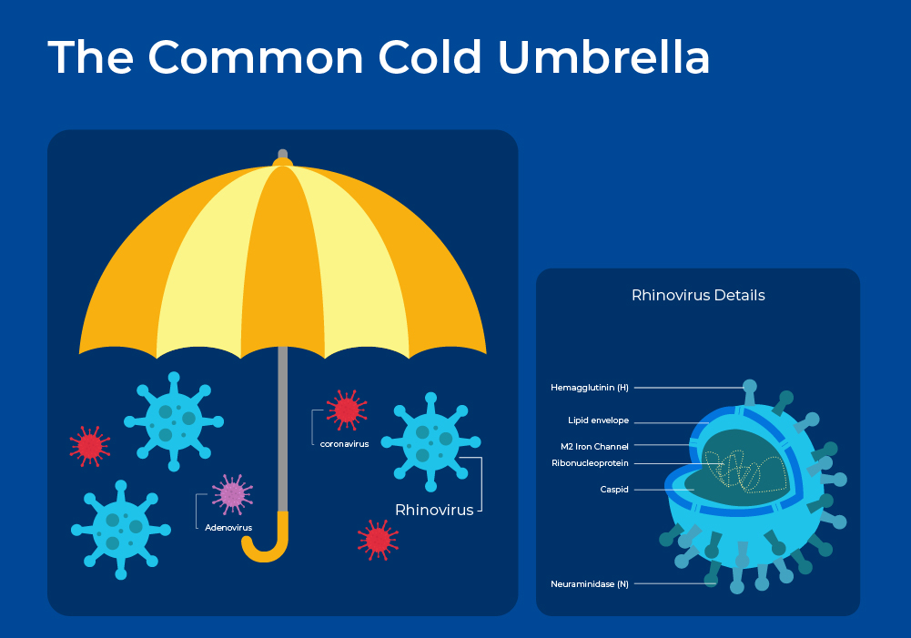 The Common Cold Umbrella Graphic